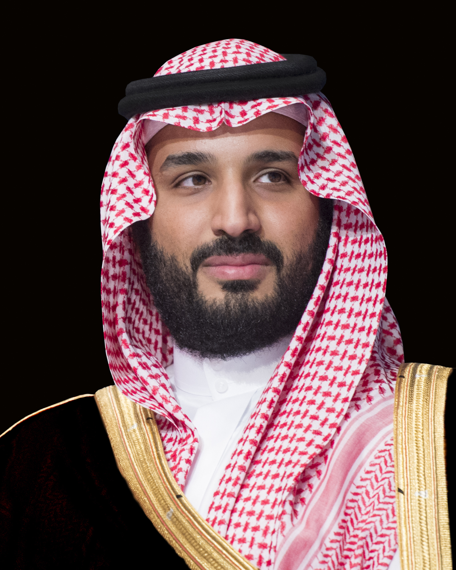 Mohamed bin Salman al Saud — Government / Energy / Investment